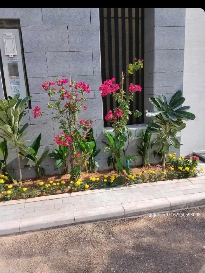 عمل تنسيق حدائق